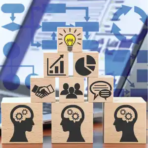 Deep Local Knowledge In UAE